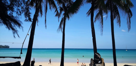 kamala-beach-kombucha-where-to-buy-near-me