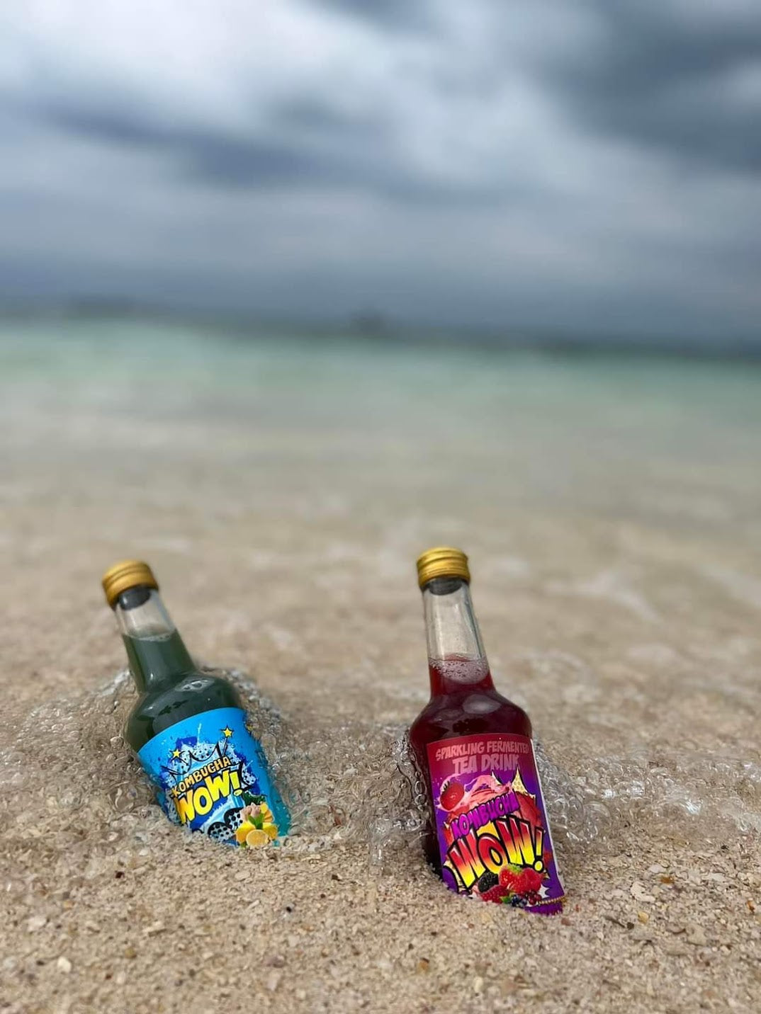 Phuket-Kombucha-Mixed-Berry-kombucha-phuket-blue