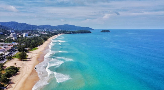 karon-beach-kombucha-where-to-buy