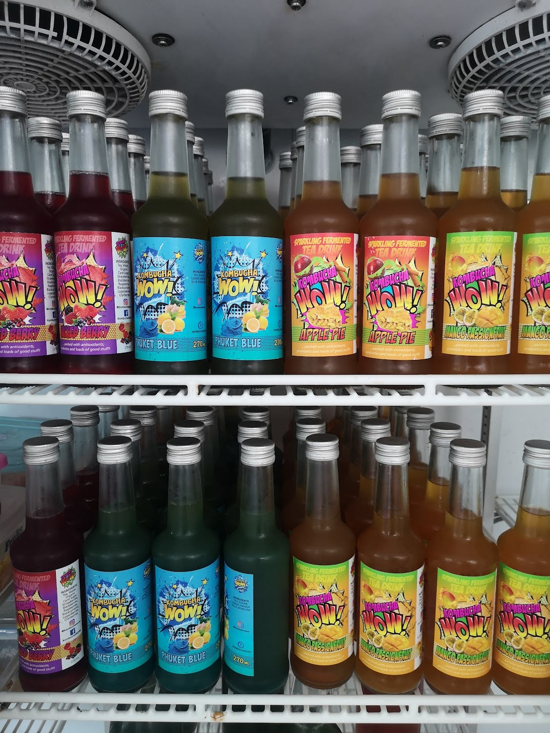 kombuchawow-full-fridge-phuket-kombucha